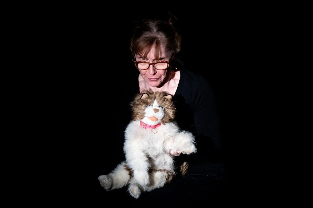 An older woman wearing glasses with her hair in two buns that resemble cat ears holds and manipulates a fluffy cat with a pink collar.